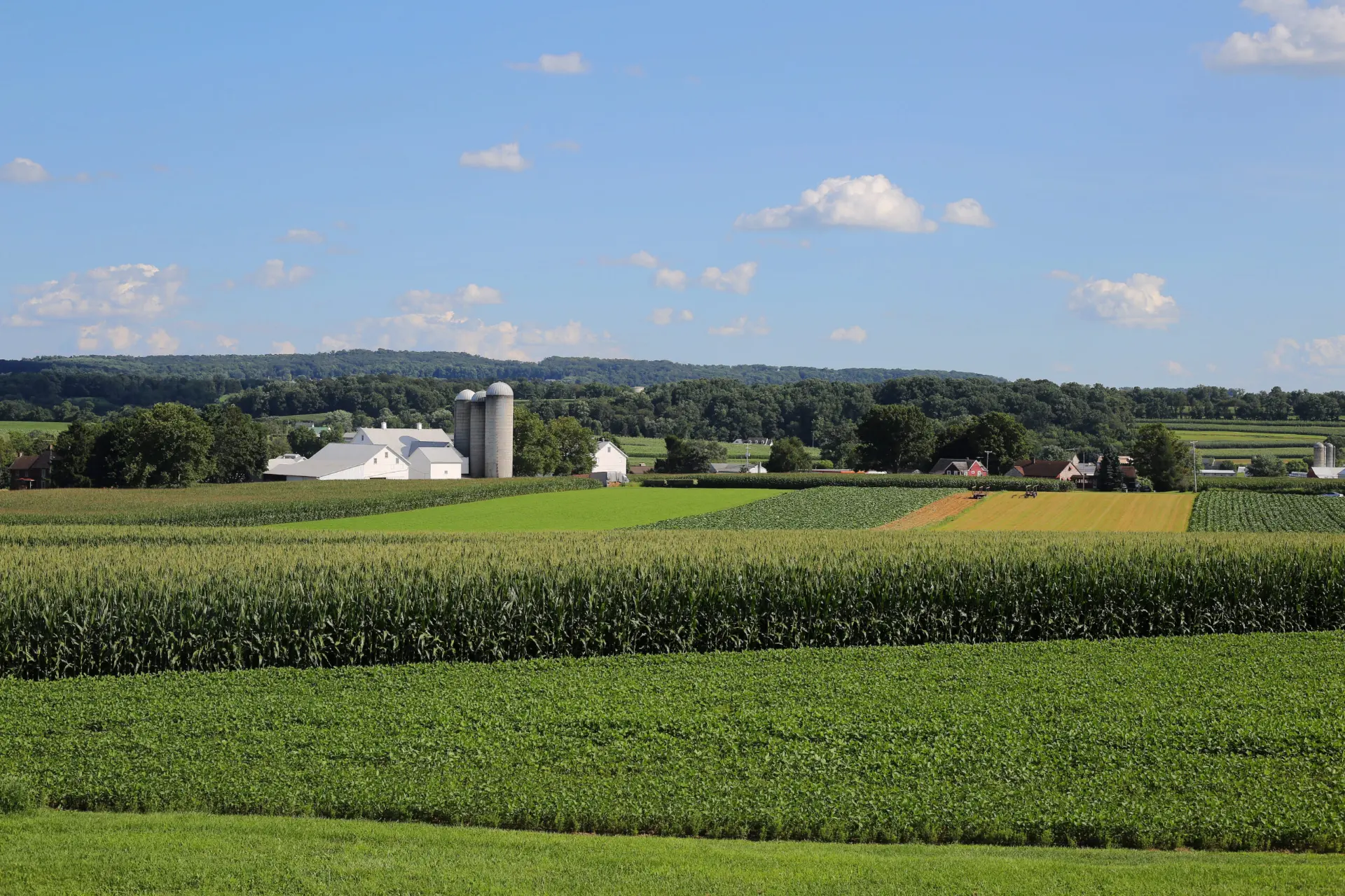 Sweeping cornfields and a working farm with silos under a blue Pennsylvania sky